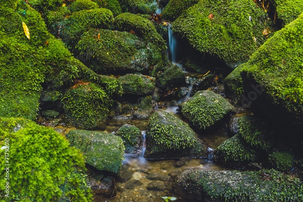 Obraz Wasserfall, Yakushima Wasserfall