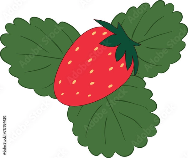 Fototapeta Red yummy delicious vibrant strawberry on front of a green strawberry leaves on a white background. Fun 2D illustration.