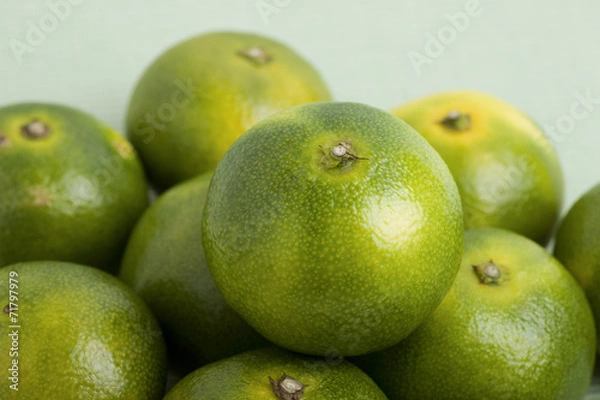 Fototapeta 青い早稲みかん