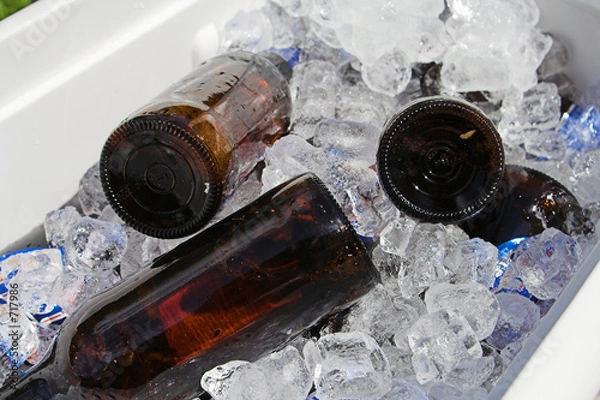 Obraz piwo na lodzie