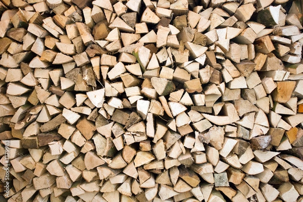 Obraz Timber logs