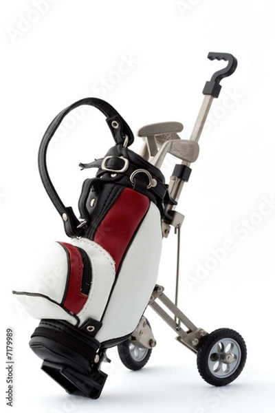 Obraz Miniature golf bag