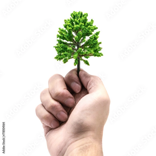 Fototapeta Hand holding green tree sapling isolated
