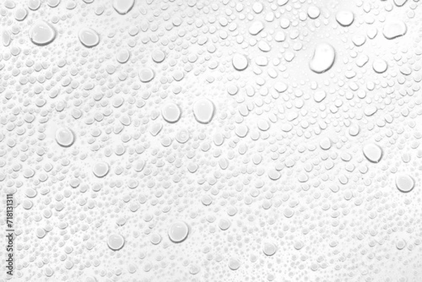 Obraz Isolated water drops against transparent background.