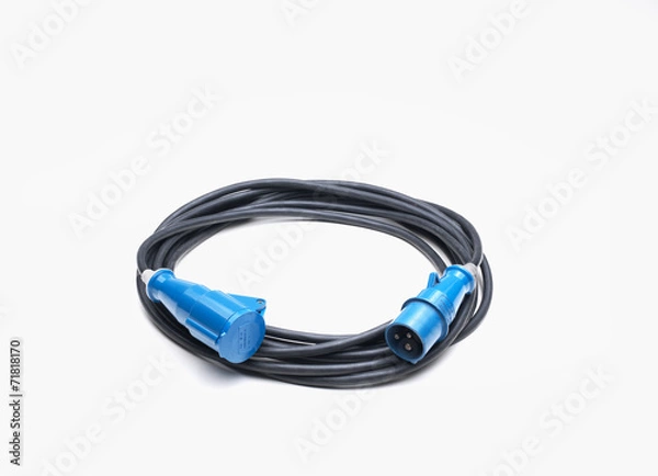 Obraz Electric cable with standard plugs