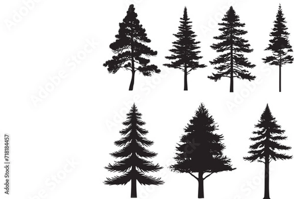 Fototapeta Trees set silhouette. Coniferous forest. Isolated tree on white background.