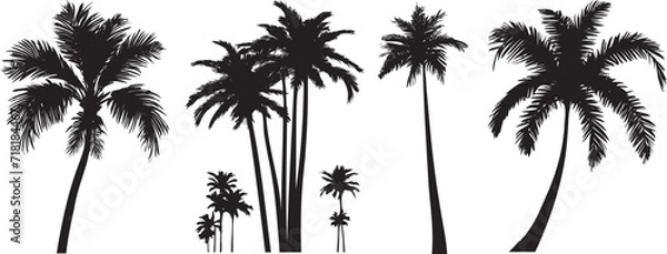 Fototapeta Black palm trees set isolated on white background. Palm silhouettes. Design of palm trees for posters, banners and promotional items. Vector illustration