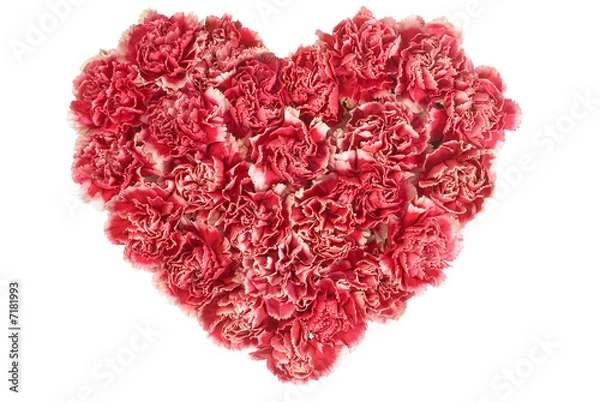 Obraz Carnation In Love Shape