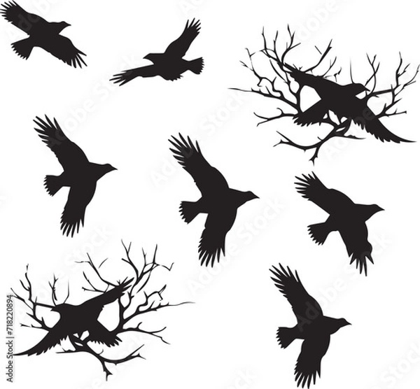 Fototapeta Set of Birds Flying black silhouettes on white background
