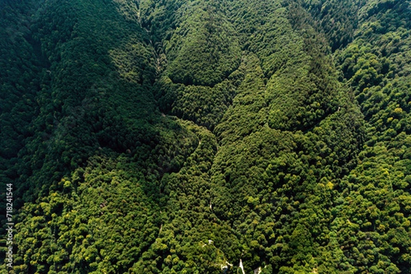 Fototapeta Aerial view above the Solomon’s Rocks natural area, very popular for picnics and hiking. It's located in the north-western part of the Postăvarul Massif, nearby the city of Brașov in Romania.