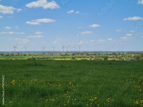 Obraz Malbork, pole, wiatraki