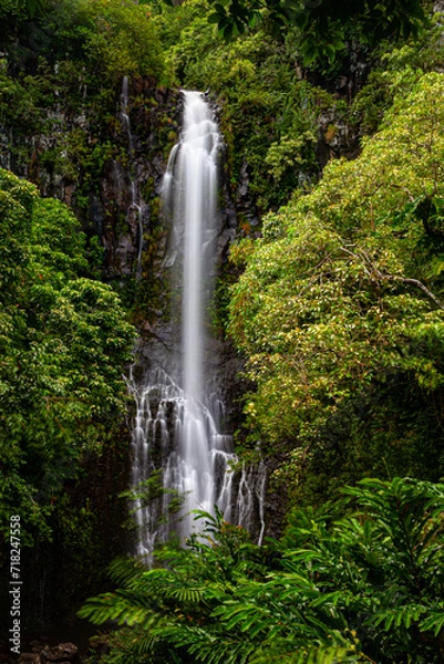 Obraz waterfall in the forest