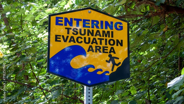 Obraz Tsunami evacuation sign