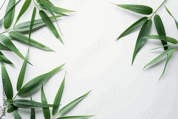 Obraz Bamboo Leaves On White Background. Сoncept Botanical Illustration, Natural Elements, Minimalist Design, Greenery, Zen Vibes
