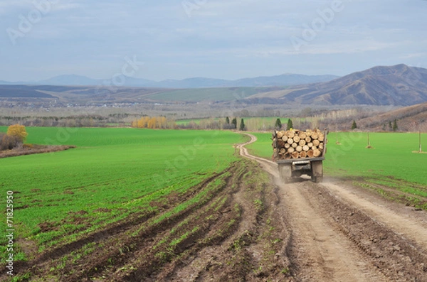 Obraz Грузовик-лесовоз на дороге