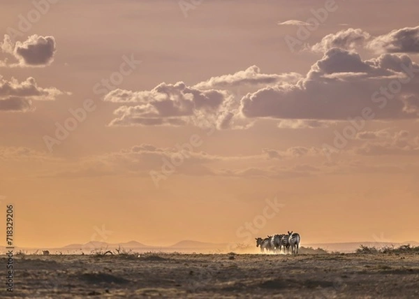 Obraz Going for water.