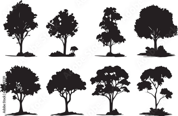 Fototapeta Set Trees. Hand drawn vector illustration