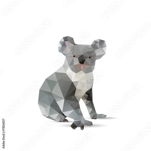 Obraz Streszczenie Koalas izolowane na białym tle