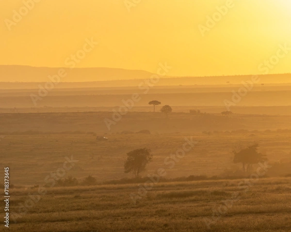 Obraz Sunset in the Mara