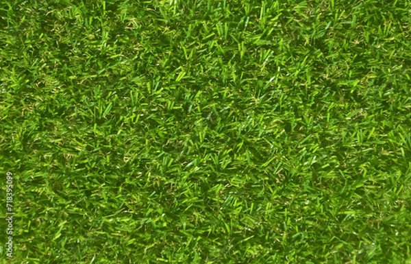 Fototapeta green grass background
