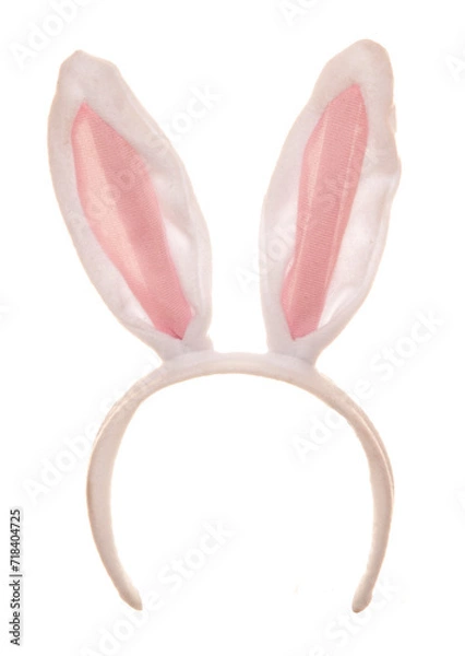 Obraz White Easter rabbit ears