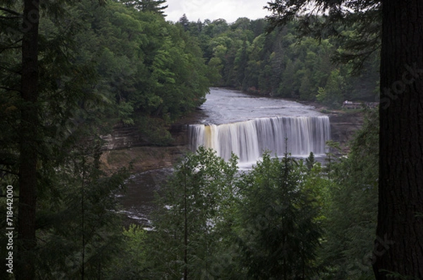 Fototapeta Waterfall in the Forest