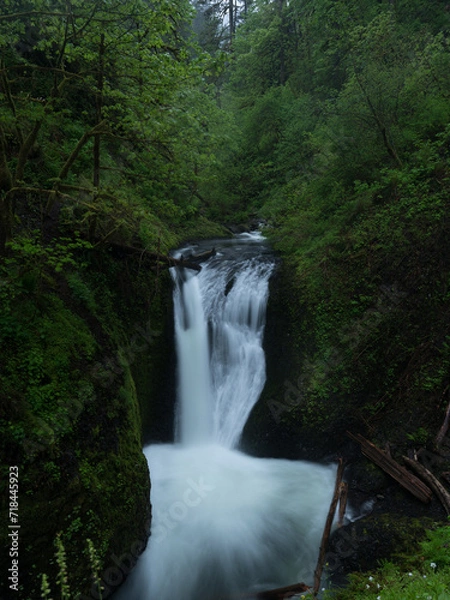 Fototapeta Waterfall in the Forest