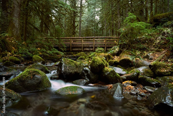 Fototapeta Footbridge across a Stream