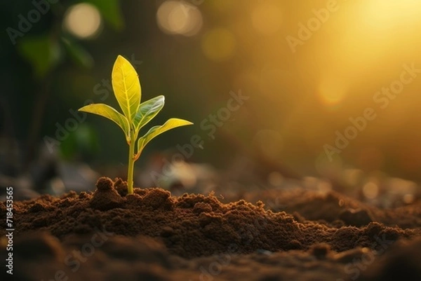 Fototapeta hopeful seedling emerges from soil, radiates growth energy, Generative AI