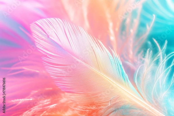 Fototapeta Abstract feather rainbow patchwork background. 
