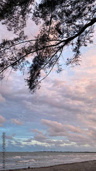 Obraz sunset on the beach