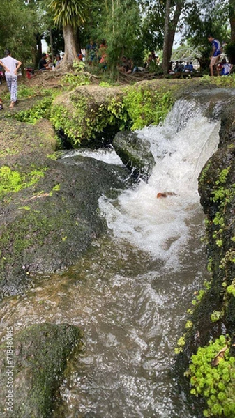 Obraz stream in the woods