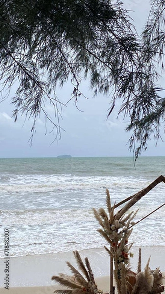 Obraz tree on the shore