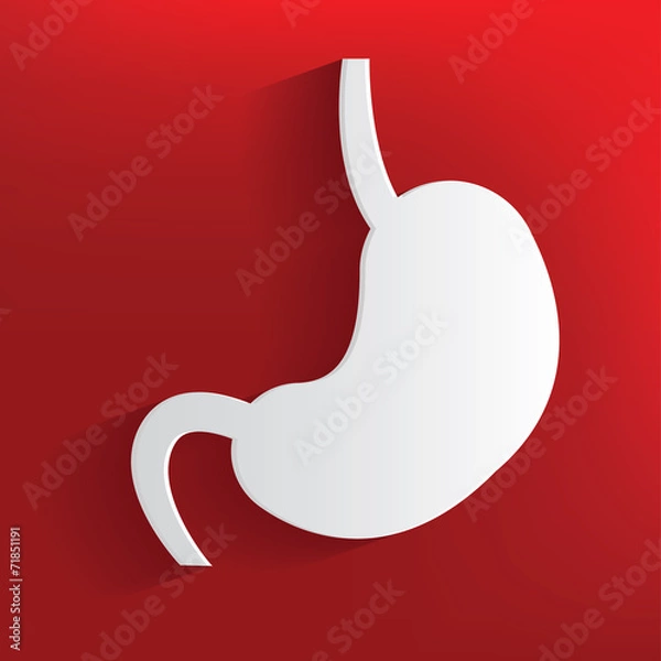 Obraz Stomach symbol on red background,clean vector