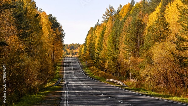 Obraz road in autumn
