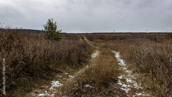 Obraz path in the meadow