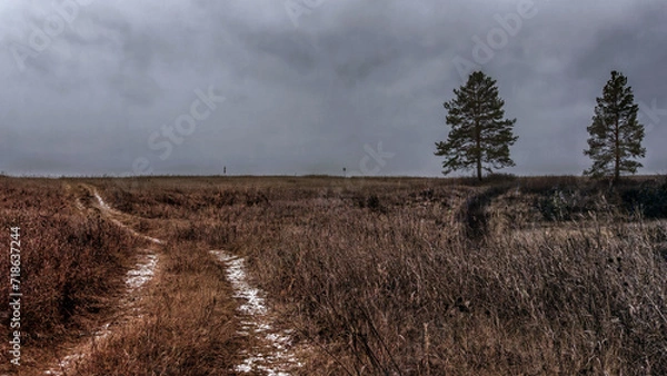 Obraz clouds over the field
