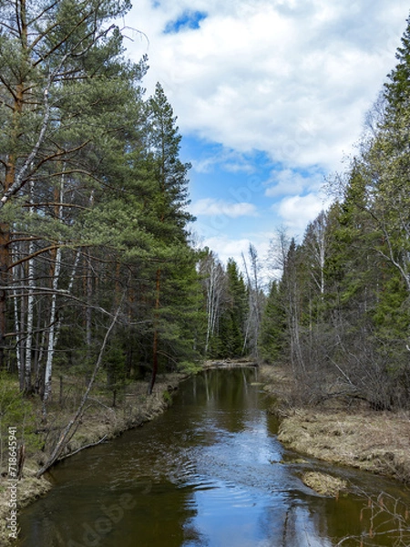 Obraz river in the forest