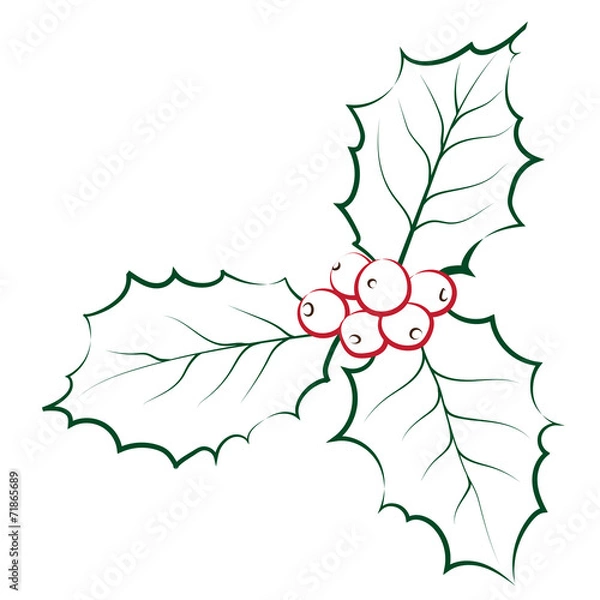 Obraz Holly and Berries