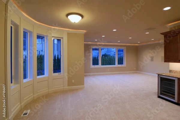 Obraz Unfurnished Media Room