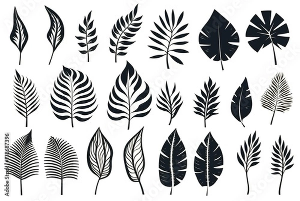 Obraz Set of tropical leaves silhouettes. Collection palm leaves. Jungle exotic leaves and botanical plants. Vector illustration. Generative Ai
