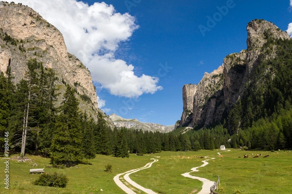 Fototapeta Langental Dolomiten