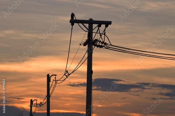 Fototapeta Silhouettes of the power lines and wires
