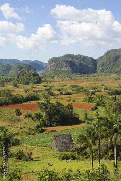 Obraz Viñales