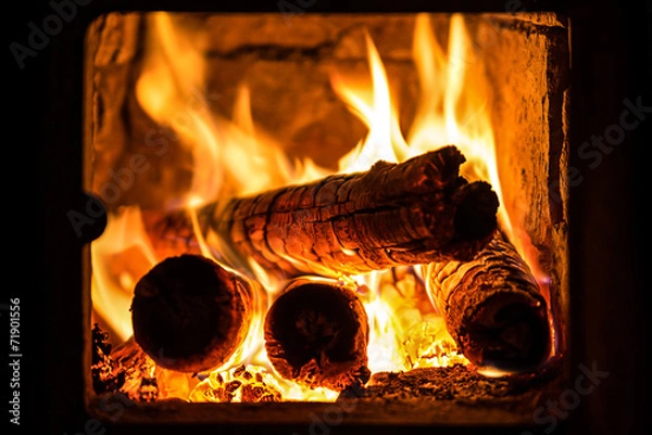 Obraz fire in a fireplace