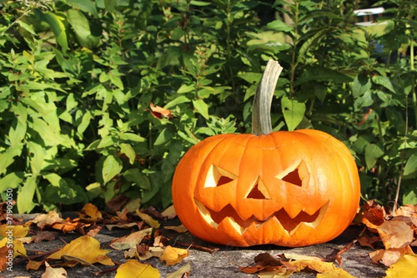 Fototapeta gruseliger Helloween-Kürbis