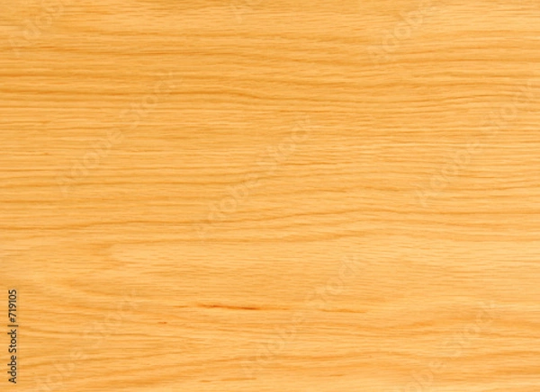 Fototapeta eiche natur