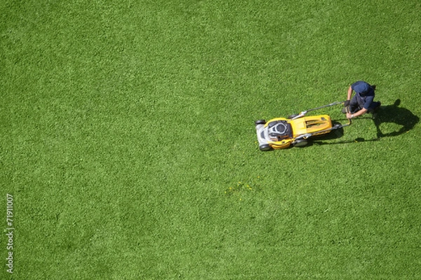 Obraz A man mowing the lawn