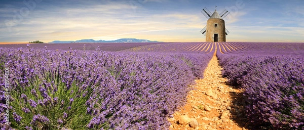 Obraz Francja - Prowansja