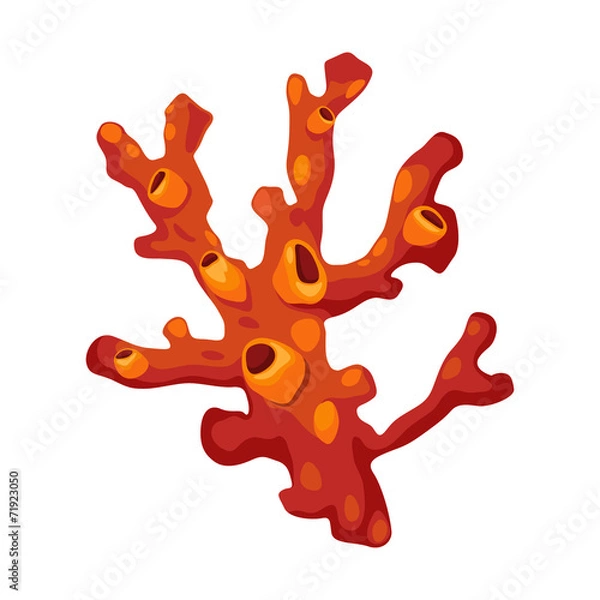 Fototapeta coral vector